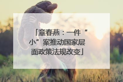 章春燕：一件“小”案推动国家层面政策法规改变