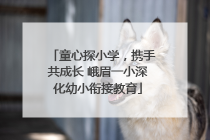 童心探小学，携手共成长 峨眉一小深化幼小衔接教育