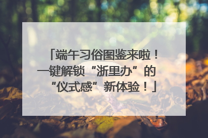 端午习俗图鉴来啦！一键解锁“浙里办”的“仪式感”新体验！