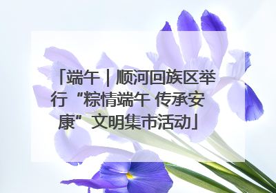 端午｜顺河回族区举行“粽情端午 传承安康”文明集市活动