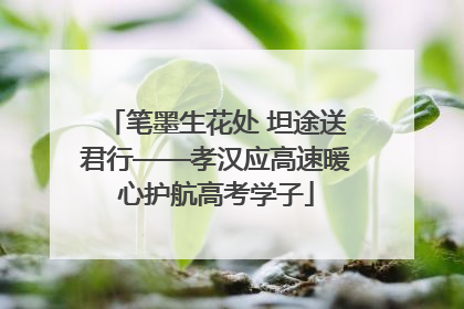 笔墨生花处 坦途送君行——孝汉应高速暖心护航高考学子