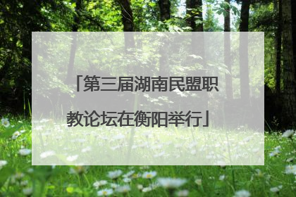 第三届湖南民盟职教论坛在衡阳举行