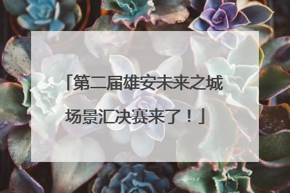 第二届雄安未来之城场景汇决赛来了！