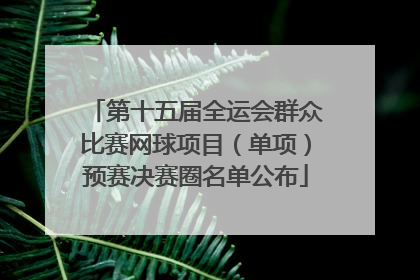 第十五届全运会群众比赛网球项目（单项）预赛决赛圈名单公布