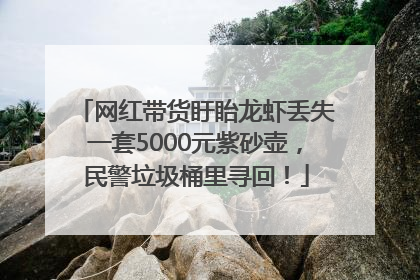 网红带货盱眙龙虾丢失一套5000元紫砂壶，民警垃圾桶里寻回！