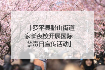 罗平县腊山街道家长夜校开展国际禁毒日宣传活动