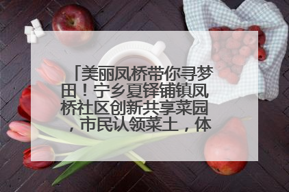 美丽凤桥带你寻梦田！宁乡夏铎铺镇凤桥社区创新共享菜园，市民认领菜土，体验耕种收获乐趣