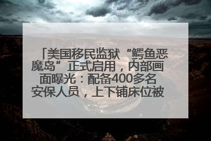 美国移民监狱“鳄鱼恶魔岛”正式启用，内部画面曝光：配备400多名安保人员，上下铺床位被罩在铁丝网里