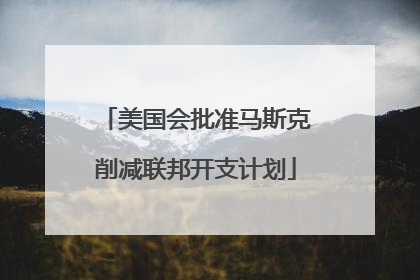 美国会批准马斯克削减联邦开支计划