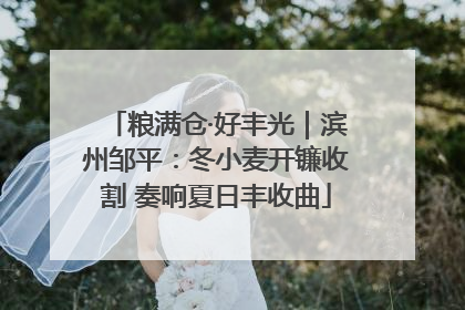 粮满仓·好丰光｜滨州邹平：冬小麦开镰收割 奏响夏日丰收曲