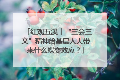 红观五溪丨“三会三文”精神给基层人大带来什么蝶变效应？