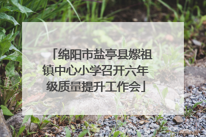绵阳市盐亭县嫘祖镇中心小学召开六年级质量提升工作会