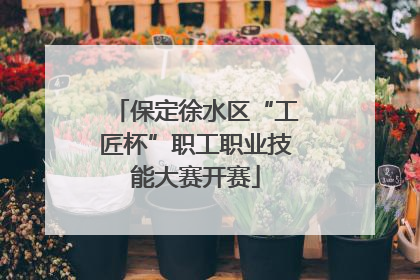 保定徐水区“工匠杯”职工职业技能大赛开赛