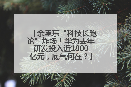 余承东“科技长跑论”炸场！华为去年研发投入近1800亿元，底气何在？