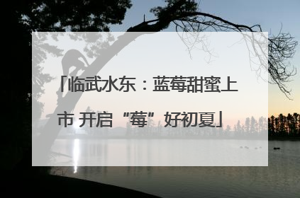 临武水东：蓝莓甜蜜上市 开启“莓”好初夏