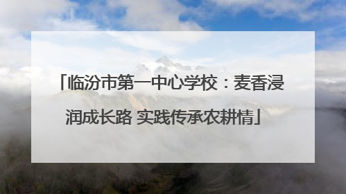 临汾市第一中心学校：麦香浸润成长路 实践传承农耕情