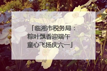 临湘市税务局：粽叶飘香迎端午 童心飞扬庆六一