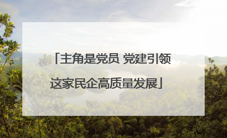 主角是党员 党建引领这家民企高质量发展