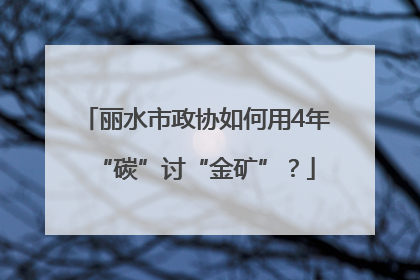 丽水市政协如何用4年“碳”讨“金矿”？