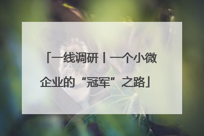 一线调研丨一个小微企业的“冠军”之路