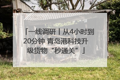 一线调研丨从4小时到20分钟 青岛港科技升级货物“秒通关”