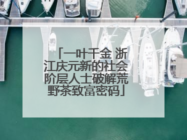 一叶千金 浙江庆元新的社会阶层人士破解荒野茶致富密码