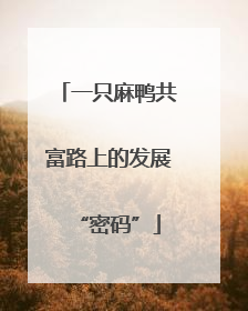 一只麻鸭共富路上的发展“密码”