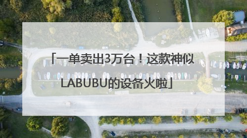 一单卖出3万台！这款神似LABUBU的设备火啦