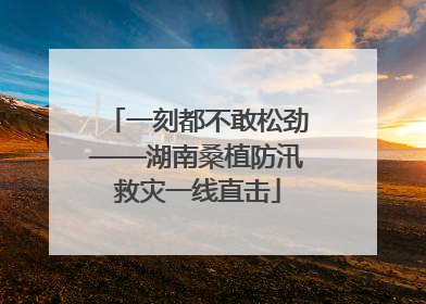 一刻都不敢松劲——湖南桑植防汛救灾一线直击