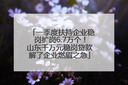一季度扶持企业稳岗扩岗6.7万个！山东千万元稳岗贷款解了企业燃眉之急