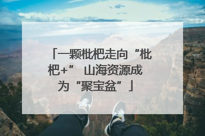 一颗枇杷走向“枇杷+” 山海资源成为“聚宝盆”