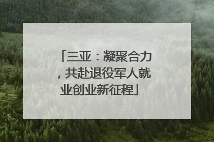三亚：凝聚合力，共赴退役军人就业创业新征程