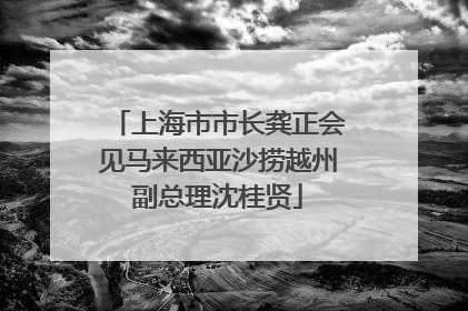 上海市市长龚正会见马来西亚沙捞越州副总理沈桂贤