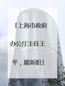 上海市政府办公厅主任王平，履新职