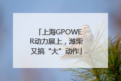 上海GPOWER动力展上，潍柴又搞“大”动作