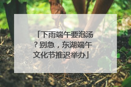 下雨端午要泡汤？别急，东湖端午文化节推迟举办