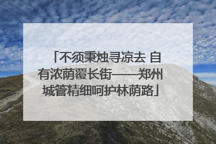 不须秉烛寻凉去 自有浓荫覆长街——郑州城管精细呵护林荫路