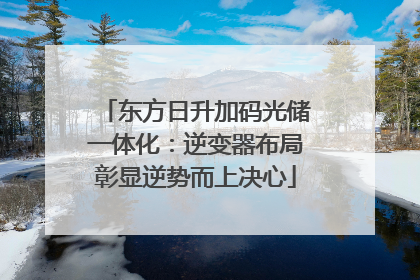 东方日升加码光储一体化：逆变器布局彰显逆势而上决心