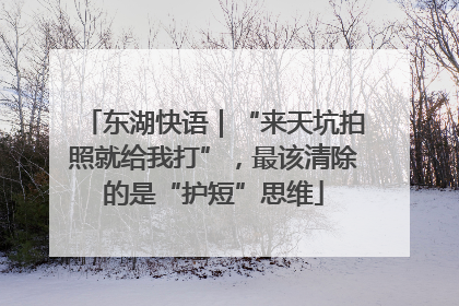 东湖快语｜“来天坑拍照就给我打”，最该清除的是“护短”思维