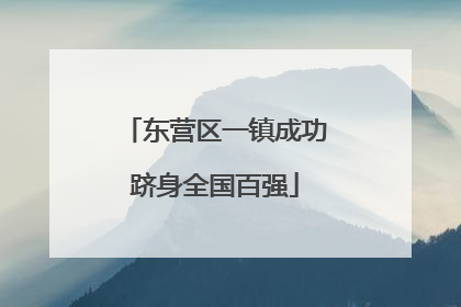 东营区一镇成功跻身全国百强