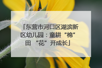 东营市河口区湖滨新区幼儿园：童耕“棉”田 “花”开成长