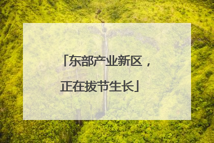 东部产业新区，正在拔节生长