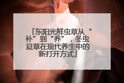 东阳光鲜虫草从“补”到“养”，冬虫夏草在现代养生中的新打开方式