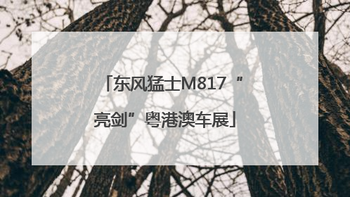东风猛士M817“亮剑”粤港澳车展