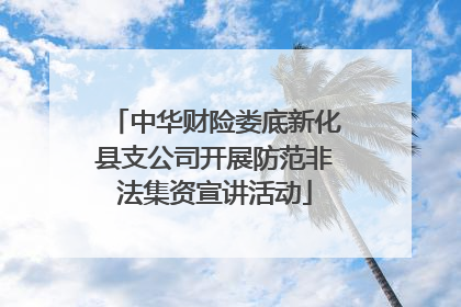 中华财险娄底新化县支公司开展防范非法集资宣讲活动