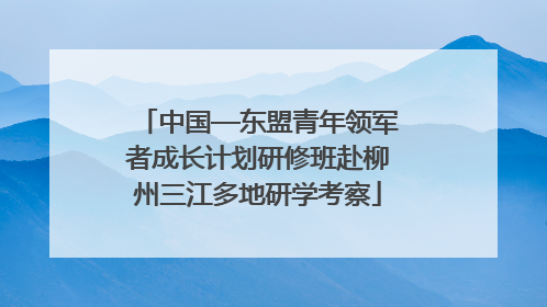 中国—东盟青年领军者成长计划研修班赴柳州三江多地研学考察