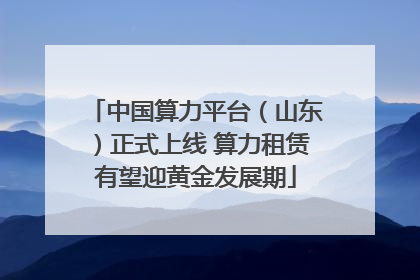 中国算力平台（山东）正式上线 算力租赁有望迎黄金发展期