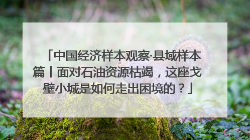 中国经济样本观察·县域样本篇丨面对石油资源枯竭，这座戈壁小城是如何走出困境的？