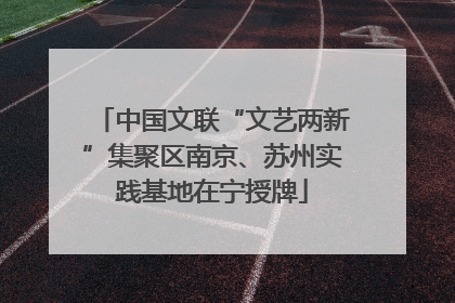 中国文联“文艺两新”集聚区南京、苏州实践基地在宁授牌