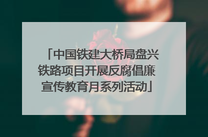 中国铁建大桥局盘兴铁路项目开展反腐倡廉宣传教育月系列活动